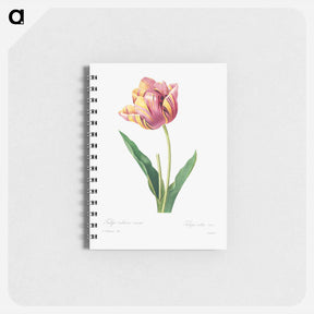 アートメモ帳-Tulip - ピエール ジョゼフ ルドゥーテ Memo.