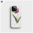 2-36_Pierre-Joseph-Redoute_phone