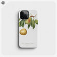 2-36_Pomona-Italiana_phone