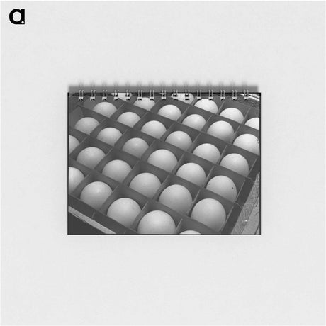 アートメモ帳-Mattress Trucks, San Angelo
 - ラッセル リー Memo.