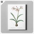 2-36_The-Lilies_canvas