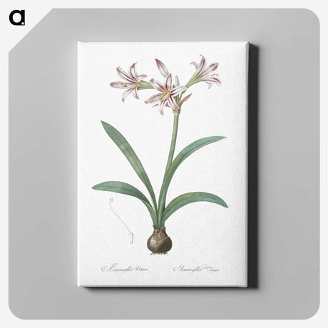 2-36_The-Lilies_canvas