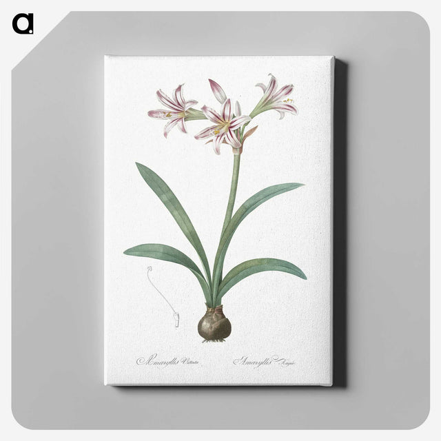 2-36_The-Lilies_canvas