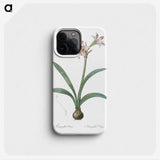 2-36_The-Lilies_phone