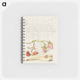 アートメモ帳-French Rose, Crane Fly, European Filbert, and Common Pear
 - 書道のお手本 Memo.