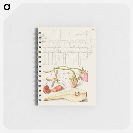 アートメモ帳-French Rose, Crane Fly, European Filbert, and Common Pear
 - 書道のお手本 Memo.