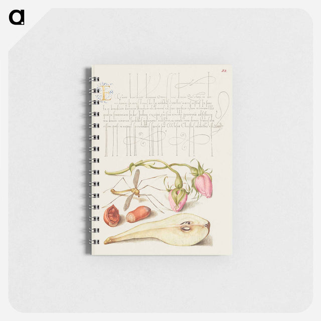 アートメモ帳-French Rose, Crane Fly, European Filbert, and Common Pear
 - 書道のお手本 Memo.