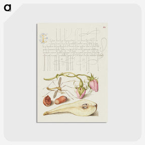 2-36_The-Model-Book-of-Calligraphy_postcard
