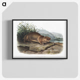 2-36_The-Viviparous-Quadrupeds_blk-crop