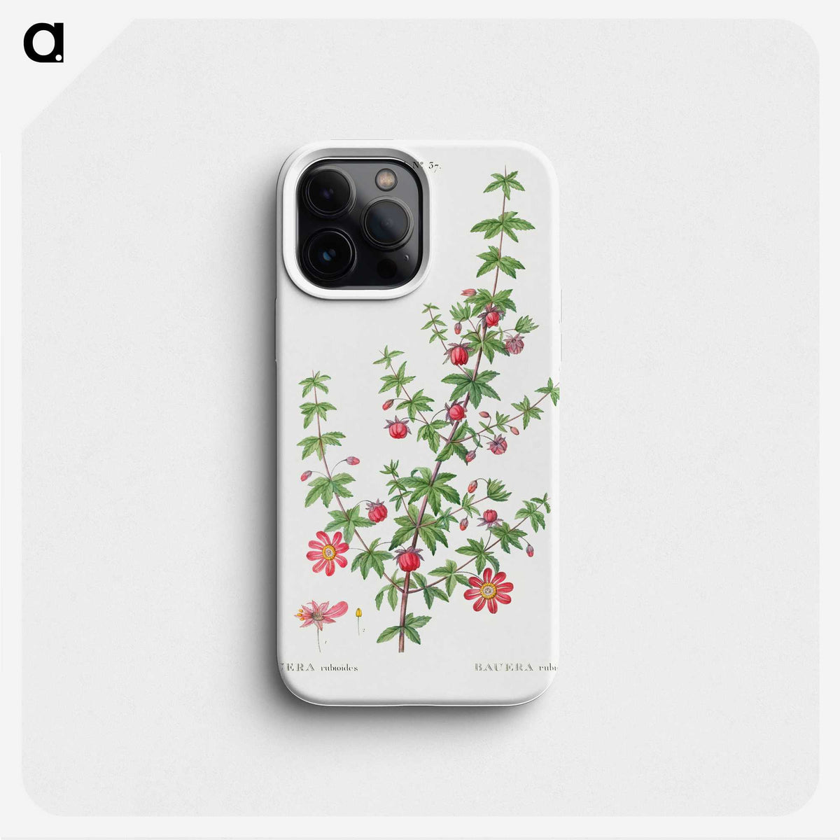 2-36_Treatise-on-Trees-and-Shrubs_phone