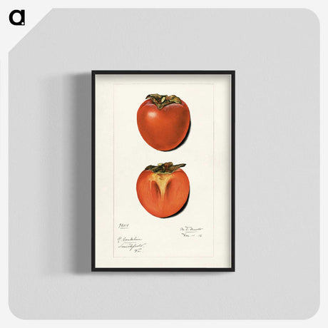 2-36_USDA-Watercolor-Fruit-Painting-Collection_blk-crop