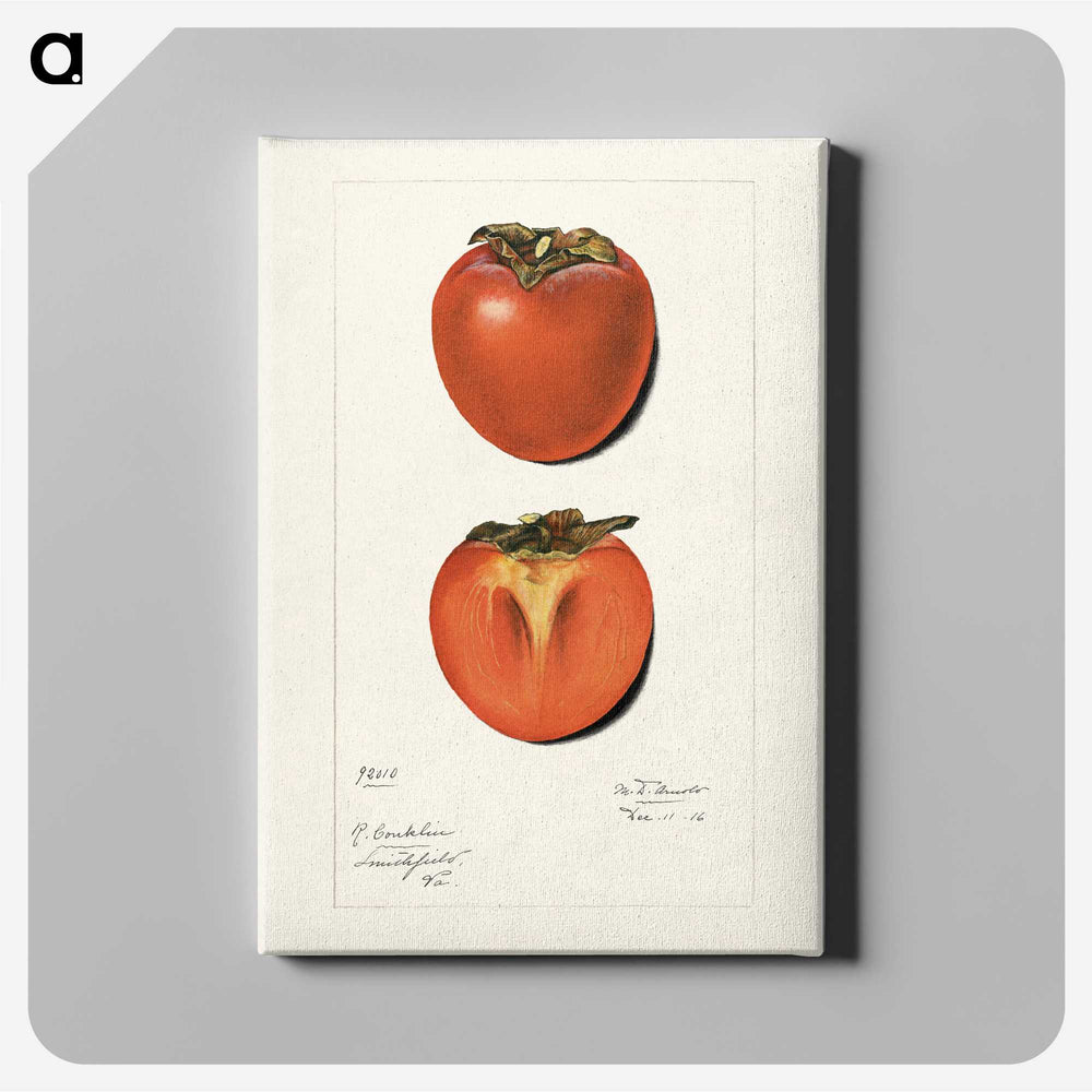 2-36_USDA-Watercolor-Fruit-Painting-Collection_canvas