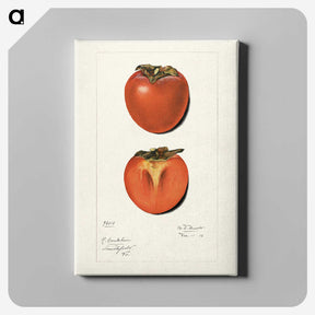 2-36_USDA-Watercolor-Fruit-Painting-Collection_canvas