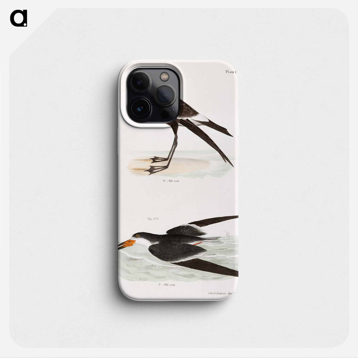 Wilson's Petrel (Thalassidroma wilsoni) 272. Black Skimmer (Rhynchops nigra) illustration from Zoology of New York by - ニューヨークの動物学 Phone Case.