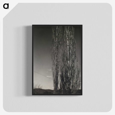 2-37_Alfred-Stieglitz_blk-crop