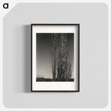 2-37_Alfred-Stieglitz_blk