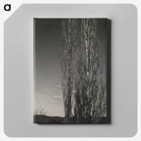 2-37_Alfred-Stieglitz_canvas