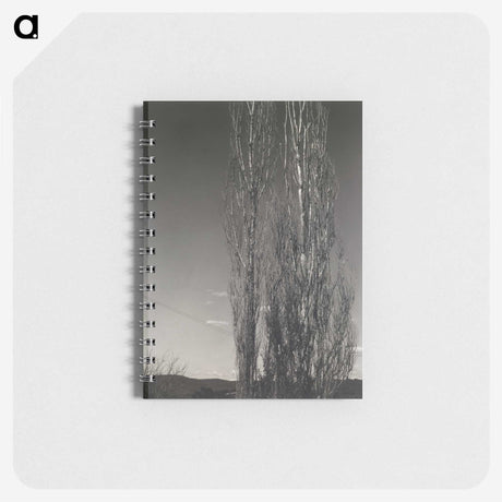 2-37_Alfred-Stieglitz_memo