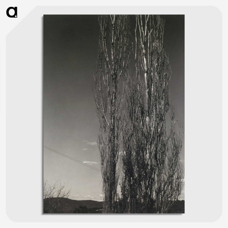 2-37_Alfred-Stieglitz_picture-crop