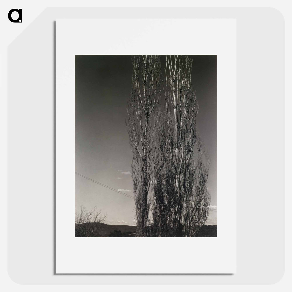 The Two Poplars, Lake George - アルフレッド スティーグリッツ Poster.