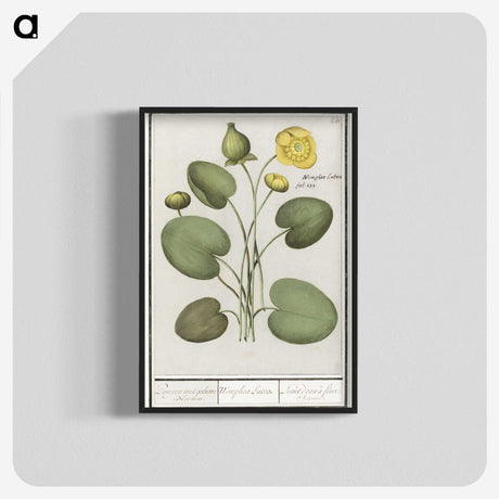 2-37_Anselmus-Boetius-de-Boodt_blk-crop