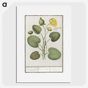 2-37_Anselmus-Boetius-de-Boodt_picture
