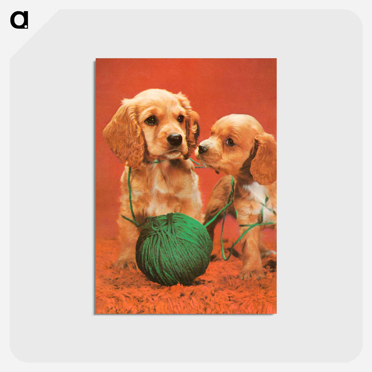 アートポストカード-Cocker Spaniels
 - ボストン公共図書館 Postcard.