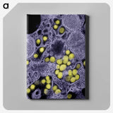 2-37_COVID-19_canvas