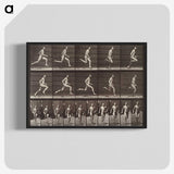 2-37_Eadweard-Muybridge_blk-crop