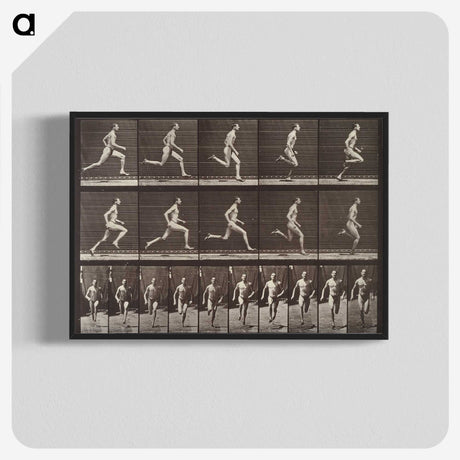 2-37_Eadweard-Muybridge_blk-crop