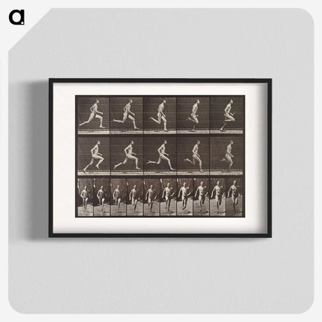 2-37_Eadweard-Muybridge_blk