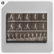2-37_Eadweard-Muybridge_canvas