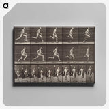 2-37_Eadweard-Muybridge_canvas