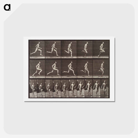 アートポストカード-Running at a Half-Mile Gait
 - エドワード マイブリッジ Postcard.