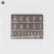 2-37_Eadweard-Muybridge_memo