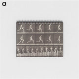 2-37_Eadweard-Muybridge_memo