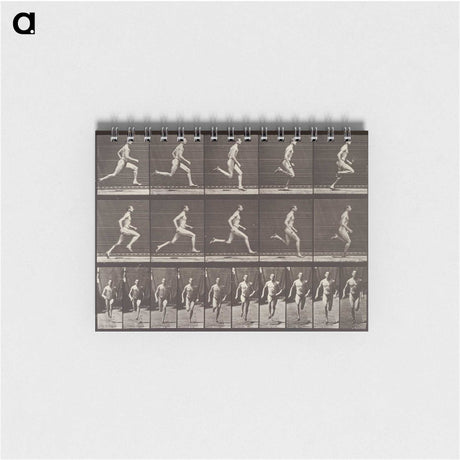 2-37_Eadweard-Muybridge_memo