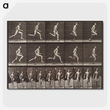 2-37_Eadweard-Muybridge_picture-crop