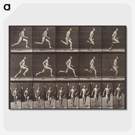 2-37_Eadweard-Muybridge_picture-crop