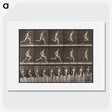 2-37_Eadweard-Muybridge_picture