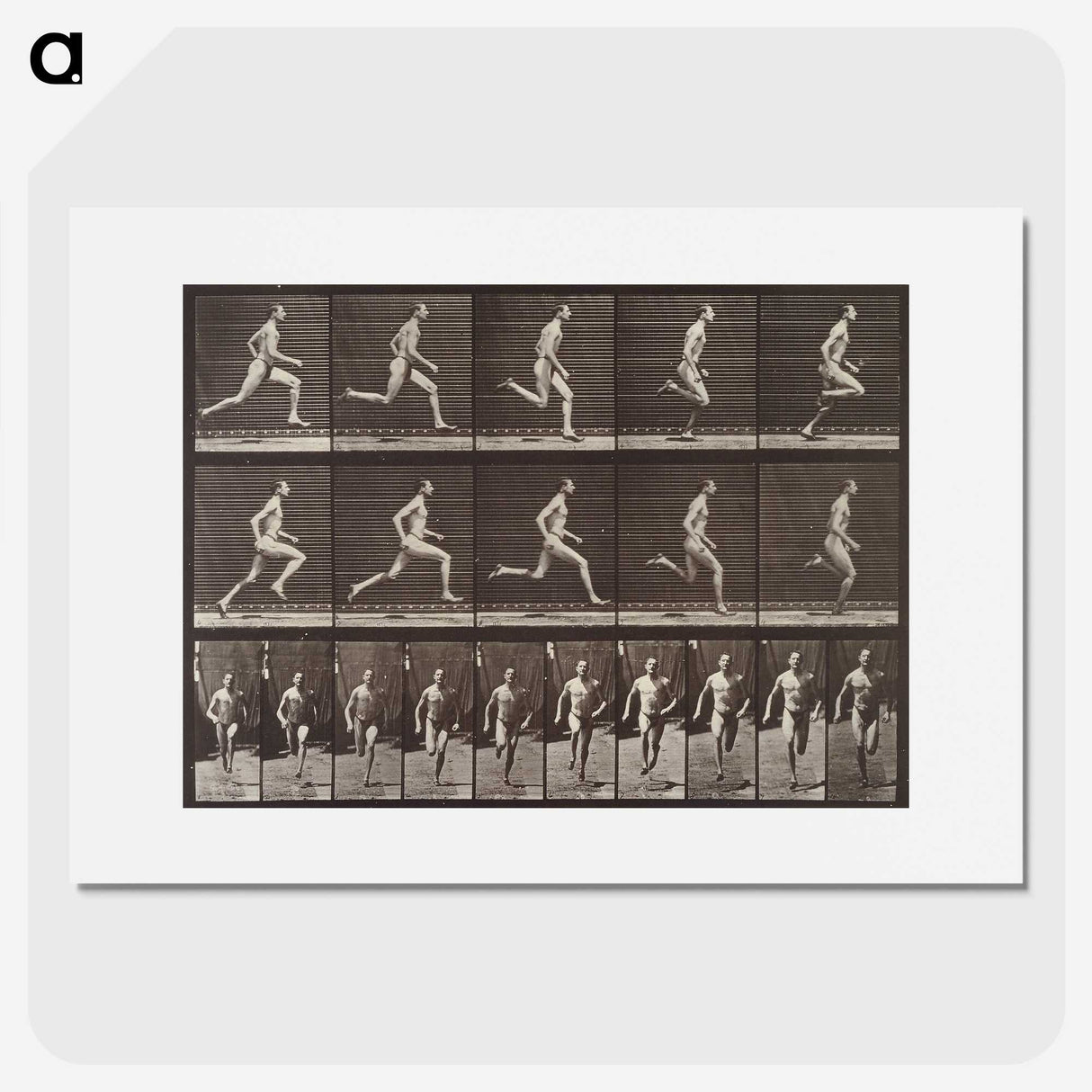 2-37_Eadweard-Muybridge_picture
