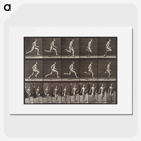 2-37_Eadweard-Muybridge_picture