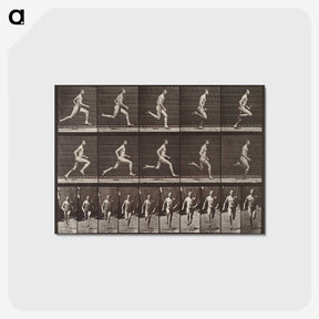 2-37_Eadweard-Muybridge_postcard