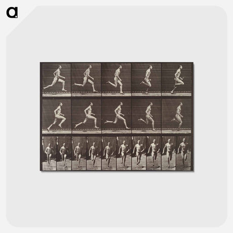 アートポストカード-Running at a Half-Mile Gait
 - エドワード マイブリッジ Postcard.