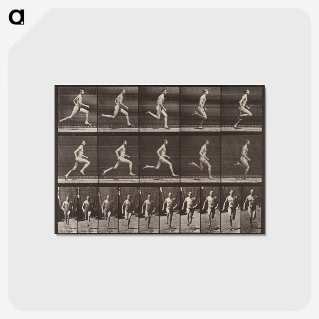 2-37_Eadweard-Muybridge_postcard