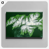 2-37_Earth-from-Above_canvas