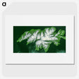 2-37_Earth-from-Above_picture