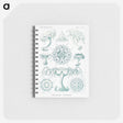 2-37_Ernst-Haeckel_memo