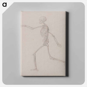 アートパネル-Running Skeleton
 - ジョージ スタッブス Canvas.