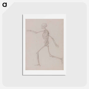 アートポストカード-Running Skeleton
 - ジョージ スタッブス Postcard.